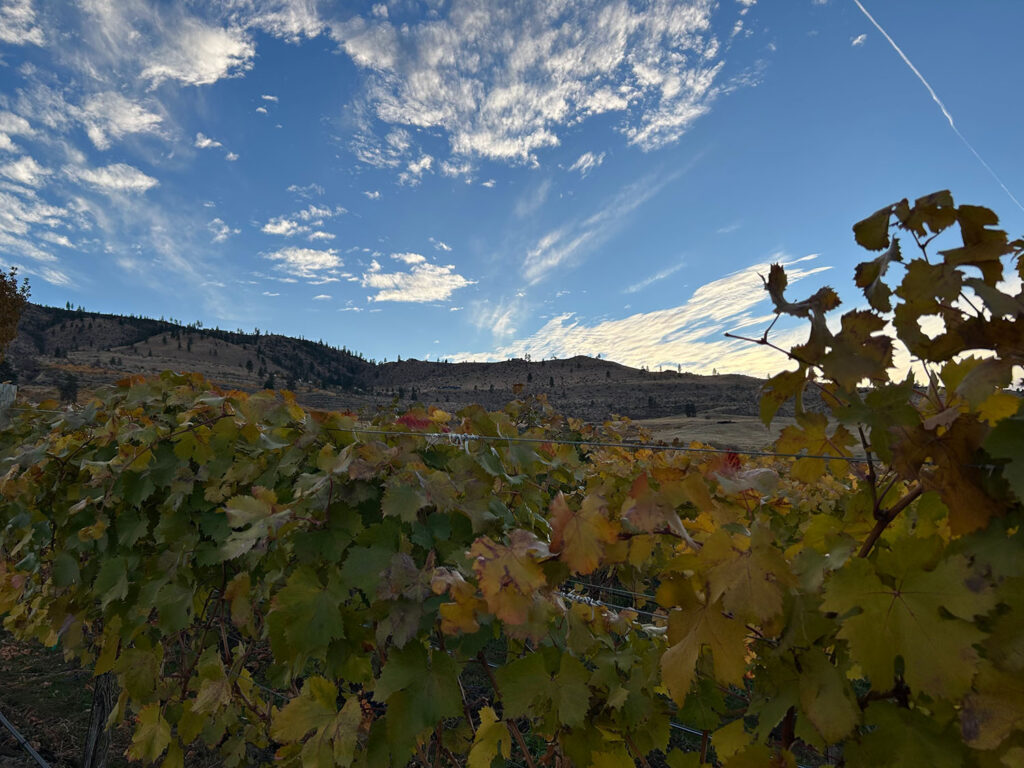 Chelan Butte View - B Block view